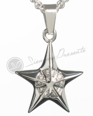 Colgante para cenizas con forma de estrella de 5 puntas en plata