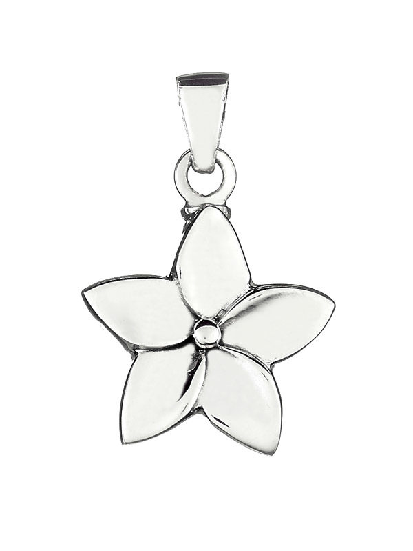 colgante para cenizas flor de plata