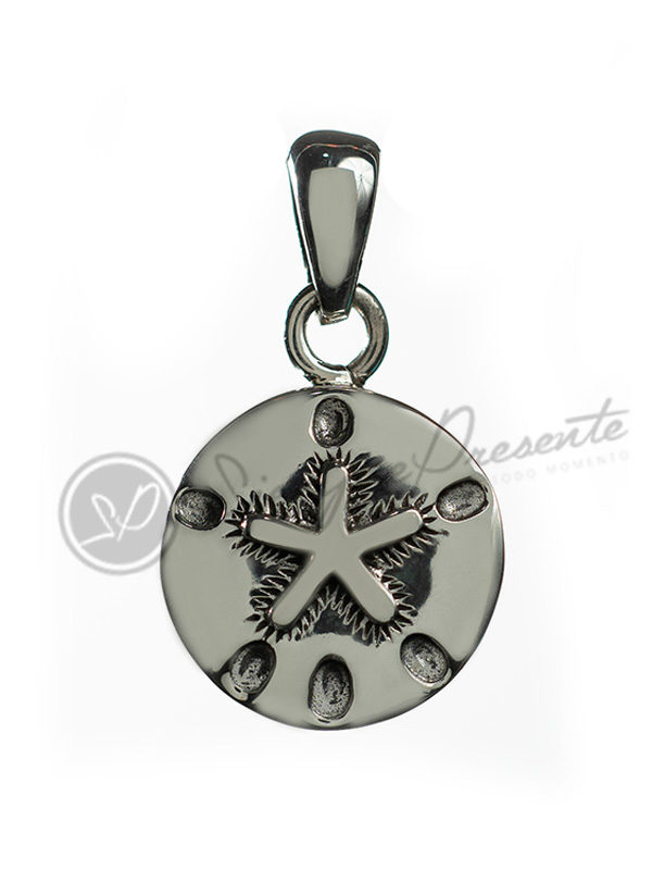 Colgante para cenizas estrella redonda plata 925